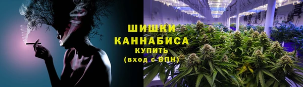 ПСИЛОЦИБИНОВЫЕ ГРИБЫ Каменка