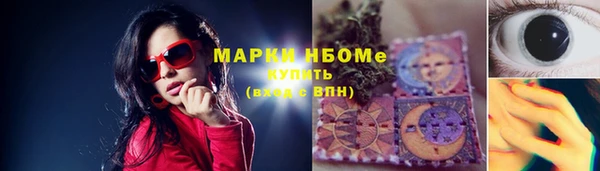 ПСИЛОЦИБИНОВЫЕ ГРИБЫ Каменка