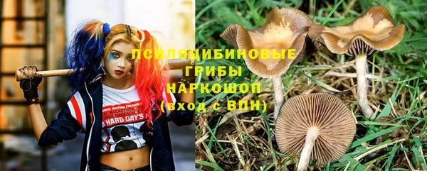 альфа пвп Каменск-Шахтинский