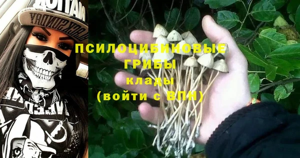 ПСИЛОЦИБИНОВЫЕ ГРИБЫ Каменка
