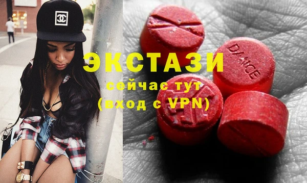 шишки Инта