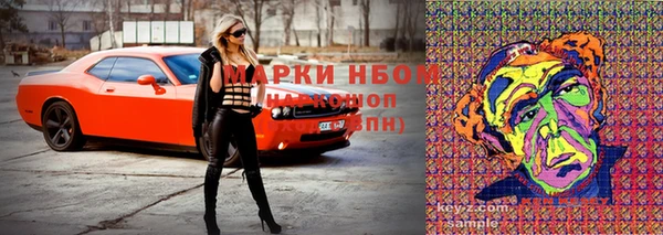 шишки Инта