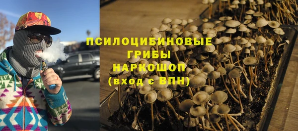 прущие грибы Инсар