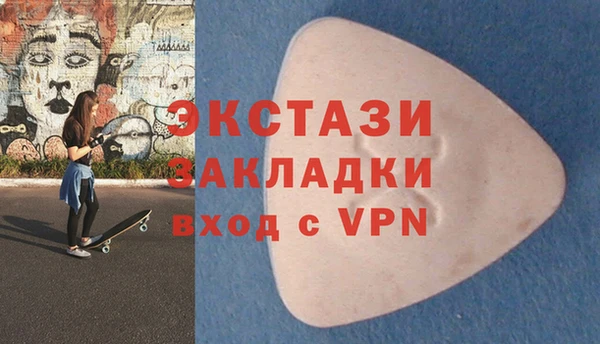 шишки Инта