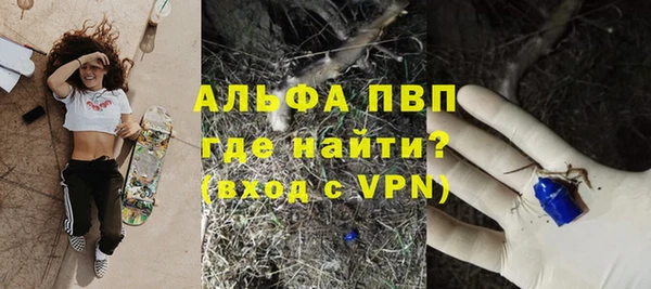 шишки Инта