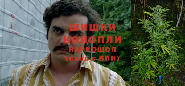 бошки Иннополис