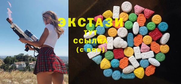шишки Инта