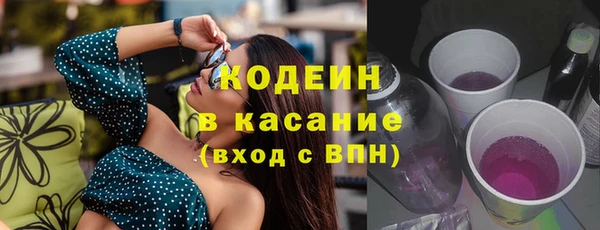 ПСИЛОЦИБИНОВЫЕ ГРИБЫ Каменка