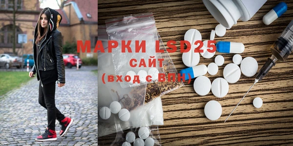 ПСИЛОЦИБИНОВЫЕ ГРИБЫ Каменка