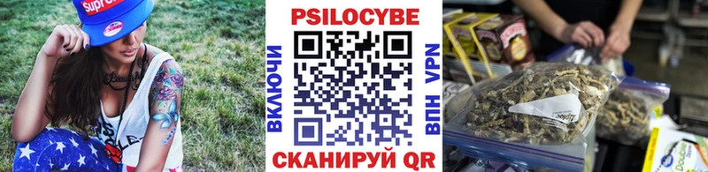 Купить закладки Нижняя Тура Псилоцибиновые грибы Psilocybe