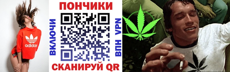 Каннабис семена  Купить закладки  Нижняя Тура 